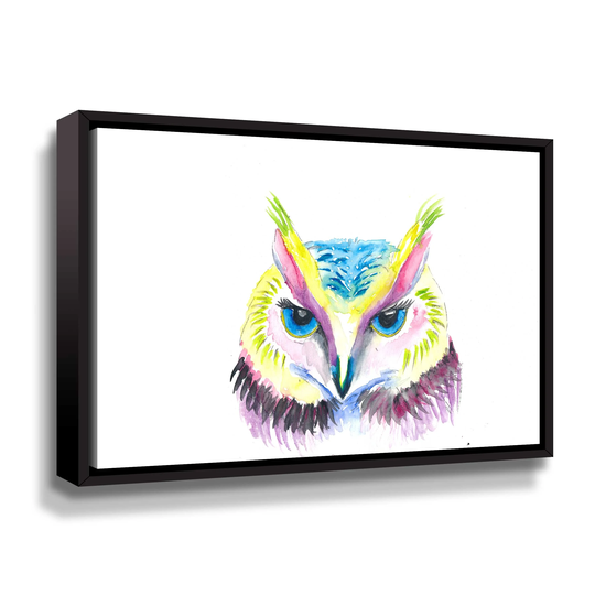 The Colorful Owl Gallery Wrapped Floater-framed Canvas