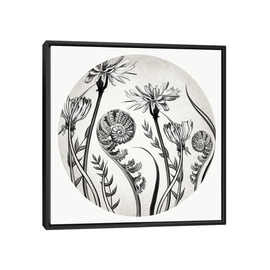 iCanvas "Dandelions And Ferns In Pencil" by Vicki Hunt Framed Canvas Print