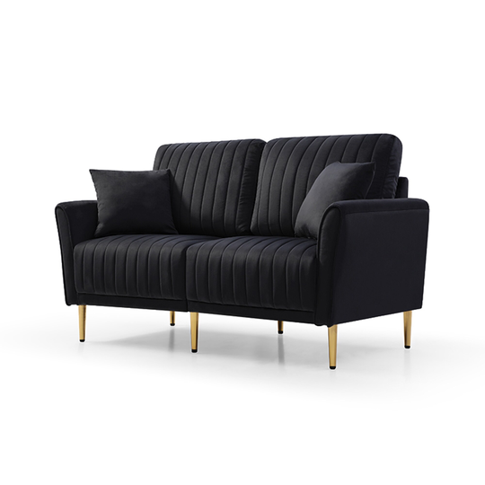 Classic Clean-lined Style Modern Loveseat Sofa Velvet Upholstered Handcrafted Tufting 2-seater Sofa with Removable Cushions