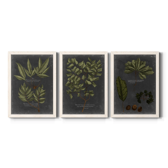 Foliage Dramatique IV-Premium Framed Canvas - Ready to Hang - Multi-Color