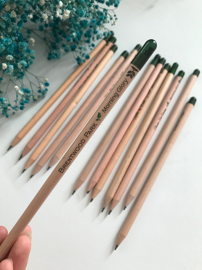 Eco Friendly Plantable Recycled Hb Pencil With Seed, Party Favour, Baptism Gifts, Gift For Guest, Staff Gift, Sustainable Seed