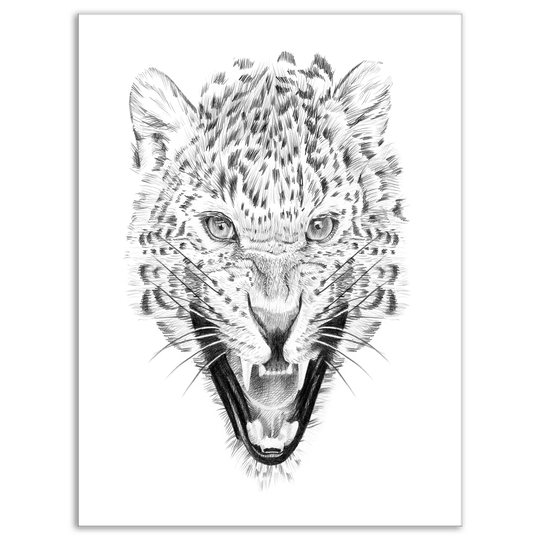 Designart 'Pencil Leopard Sketch in Black and White' Animals Print on Wrapped Canvas - White