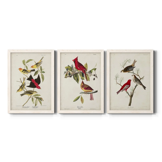 Pl 354 Louisiana Tanager-Premium Framed Canvas - Ready to Hang - Multi-Color