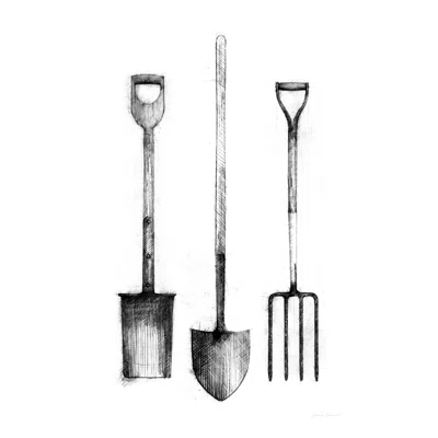 Farm and Garden VII Crop by Avery Tillmon - Wrapped Canvas Drawing Print