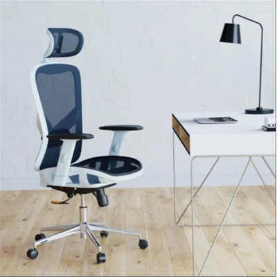 High Back Executive Mesh Office Chair With Arms, Headrest And Lumbar Support, Chair, Office Chair, Computer Chair, Writing Chair, Modern Style,blue