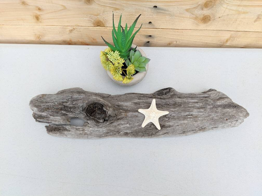 D57 17" Driftwood Sculpture, Terrerium, Vivarium Driftwood Branch, Gecko/Lizard, Airplant Driftwood, Wall Art, Table Center, Wedding Decor