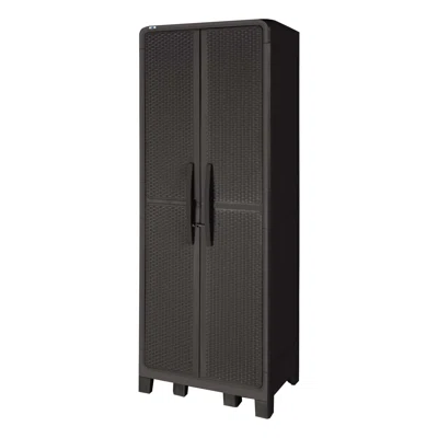 Inbox Zero Delainey 3-Shelf Plastic Armoire Cabinet In Espresso