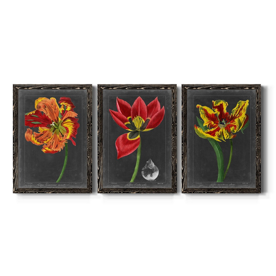 Midnight Tulip I-Premium Framed Canvas - Ready to Hang - Multi-Color
