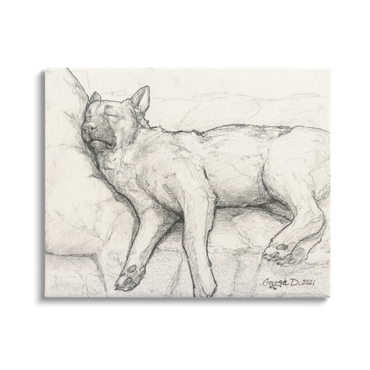 Stupell Industries Tired Dog Sleeping Intricate Graphite Pencil Sketch Canvas Wall Art, Design by George Dyachenko