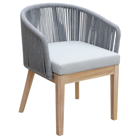 Set of 2 Diego Dining Chairs