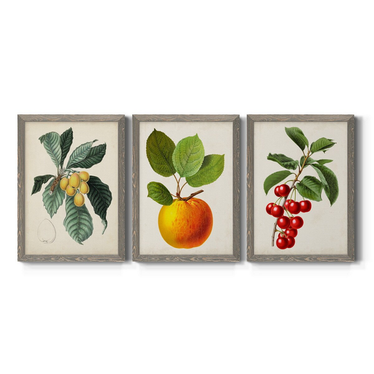 Antique Foliage & Fruit VI-Premium Framed Canvas - Ready to Hang - Multi-Color