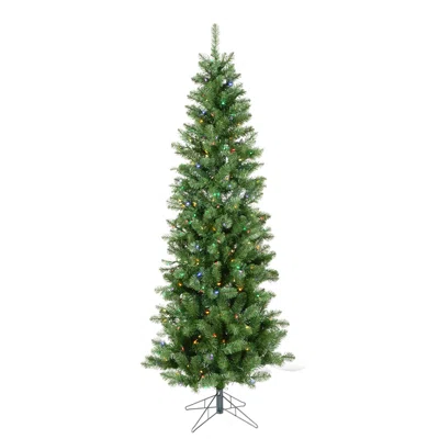 6.5' Color Lit Salem Pencil Artificial Tree