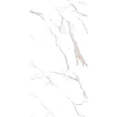 Calacatta 24" X 48" Porcelain Wall & Floor Tile