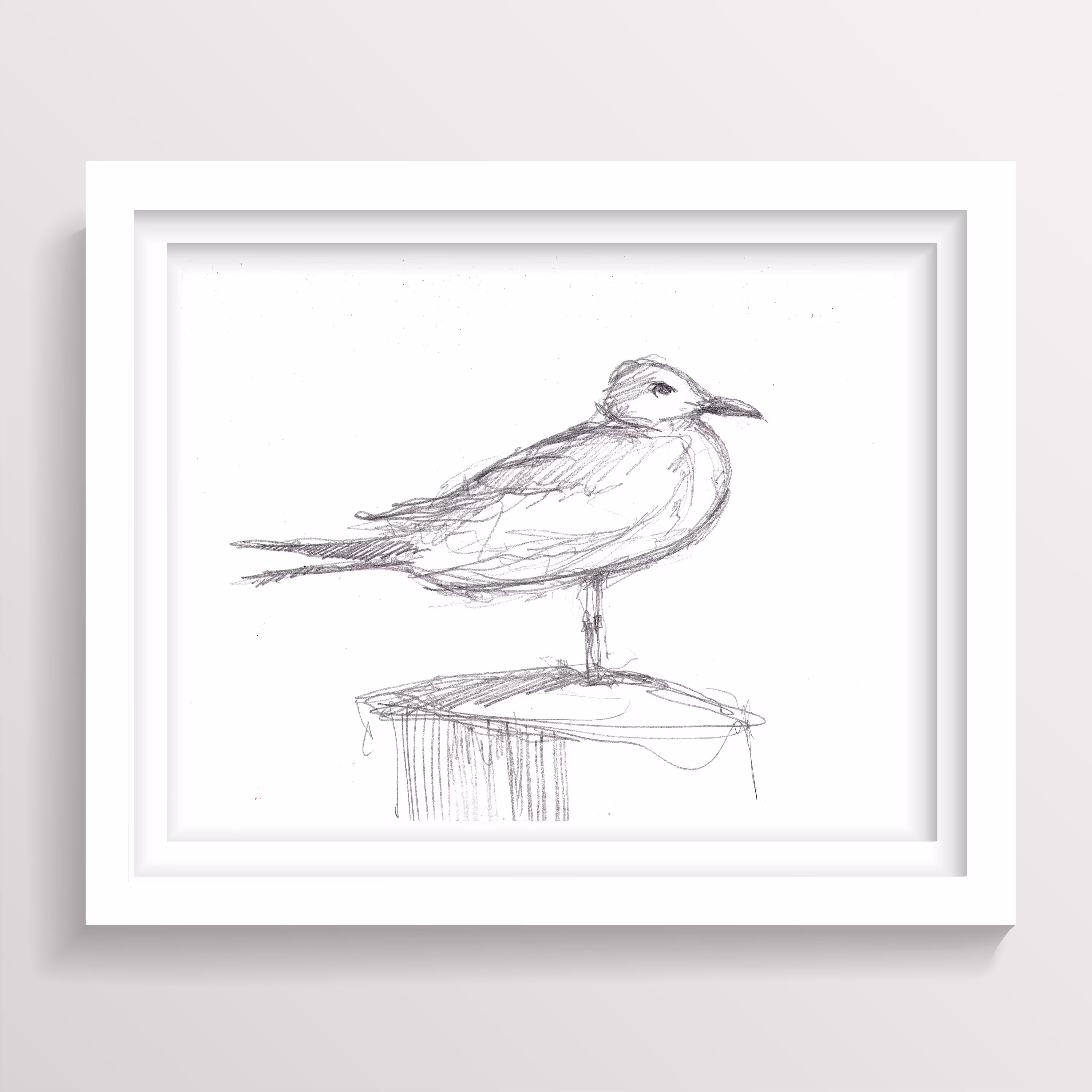 Seagull Pencil Sketch - Animal Art, Nautical Nature, Ocean, Line Drawing, Giclee Art Print, Drawnthere