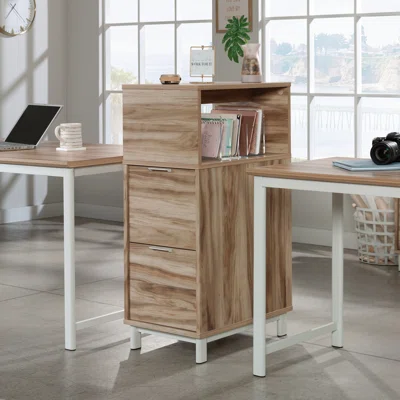 Ashiah 2-Drawer Vertical Filing Cabinet