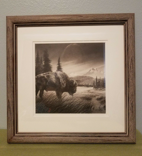 Original Signed Graphite Pencil Art American Bison By Artist David Bjurstrom, Buffalo, Framed