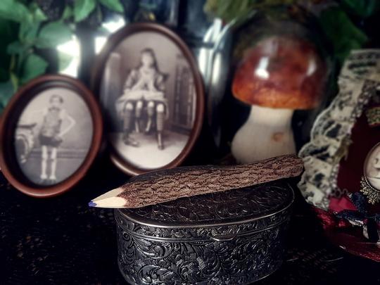 Wood Branch Pencil, 1 Random Color Pencil, Twig Pencil, Colouring Rustic Decor, Forest Pagan White Witch