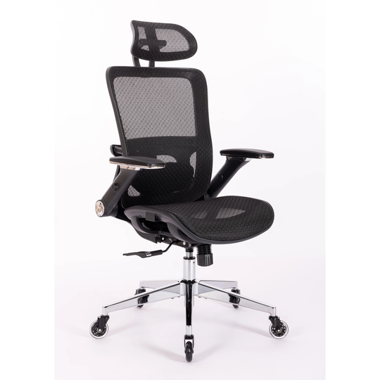 EYIW Ergonomic Mesh Office Chair with 4D Adjustable Flip Armrests, Adjustable Lumbar Support and Blade Wheels