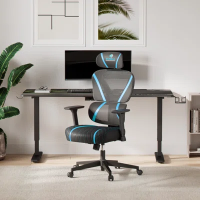 Eureka Ergonomic Mesh Home Office Chairs Dual Back 3D Lumbar Support Reclining Chair
