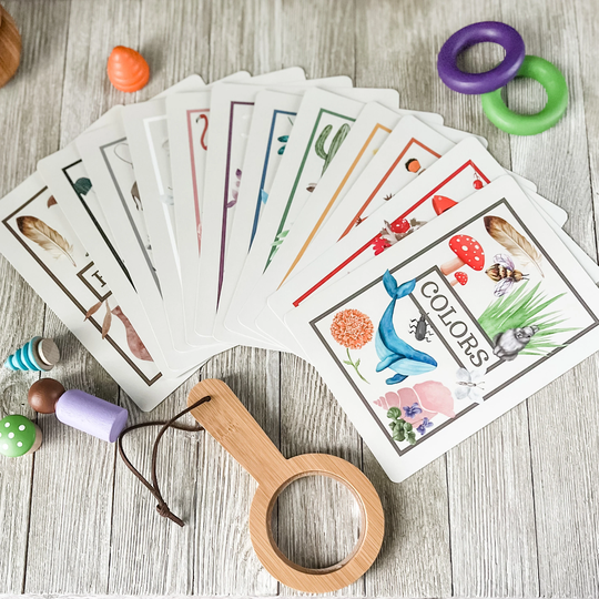 Color Flashcards