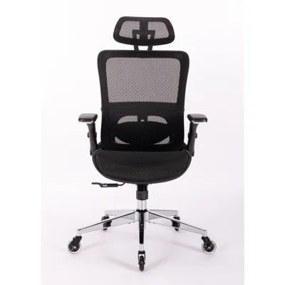 Ergonomic Mesh Office Chair - Rolling Home Desk Chair With 4d Adjustable Flip Armrests, Adjustable Lumbar Support And Blade Wheels
