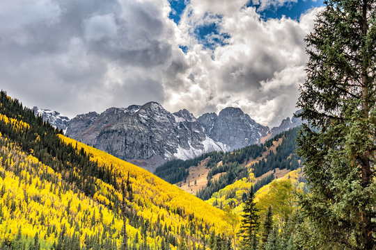 Telluride Fall Color, Ophir Colorado Art, Autumn, Aspen Trees, Photo, Nature Large Wall Decor, Living Room Art