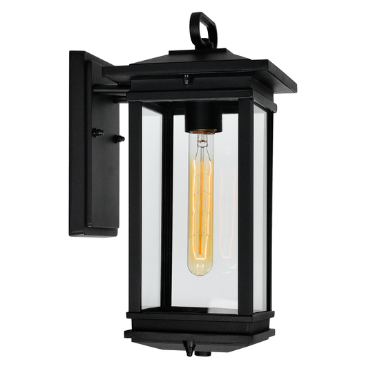 Oakwood 1-Light Black Outdoor Wall Light with Clear glass