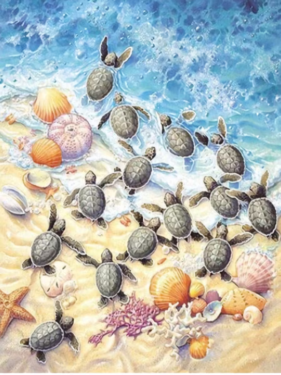Turtle Run Diy 5D Diamond Painting Kit Full Square & Round Drill