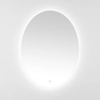 Ashelle Oval LED Wall Mirror