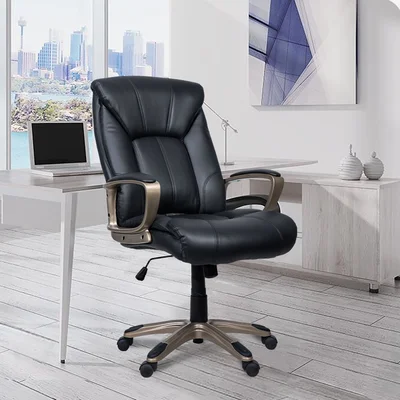 Adjustable Ergonomics Executive High Back Home Office Chair