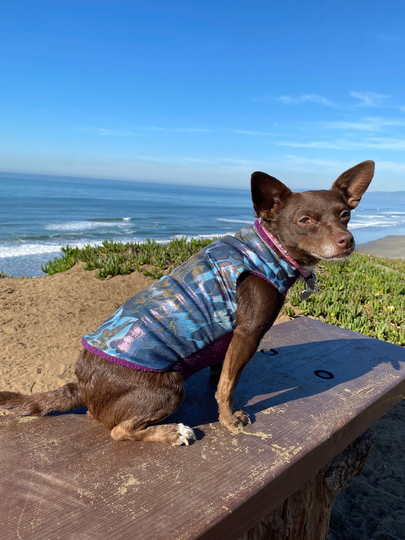 Sale Animal Kingdom Dog Sweater With Sparkly Iridescent Spandex | Coat, Jacket, Jumper, Pullover, Small Dog, Fleece