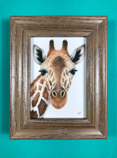 Giraffe Original Colored Pencil Drawing in A Faux Wood Frame, Gifts For Wildlife Lovers, Miniature Animal Art, Nursery Decor, Baby's Room