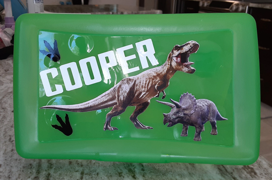 Dinosaur Pencil Box, T-Rex Back To School Supplies