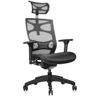 Esquire High Back Ergonomic Office Chair Mesh Task Chair with Headrest and 4D Armrests