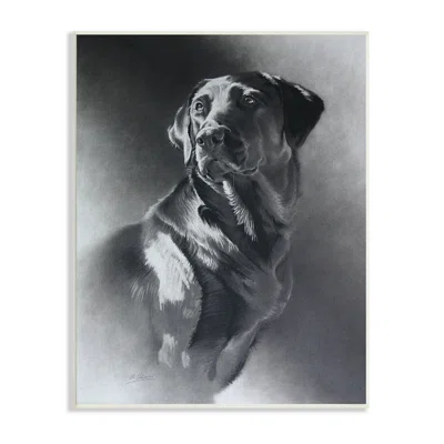 Charcoal Pencil Labrador Dog Portrait Vintage Pet Black Framed Giclee Texturized Art By Cole Johnson