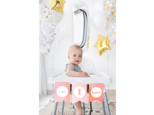 High Chair 1st First Birthday Banner | Birthday Girl Cake Smash Photo Shoot 1-Year-Old Party Decor Party