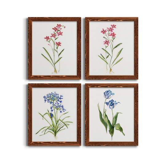 Delicate Pink I-Premium Framed Canvas - Ready to Hang - Multi-Color