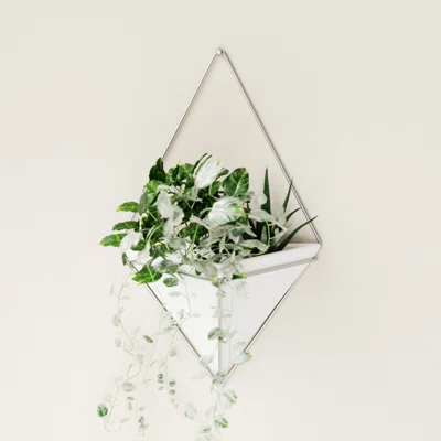 Trigg Planter Wall Decor