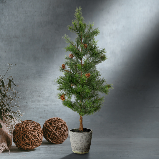 36" Plastic Pencil Princess Pine Tree Cement Pot