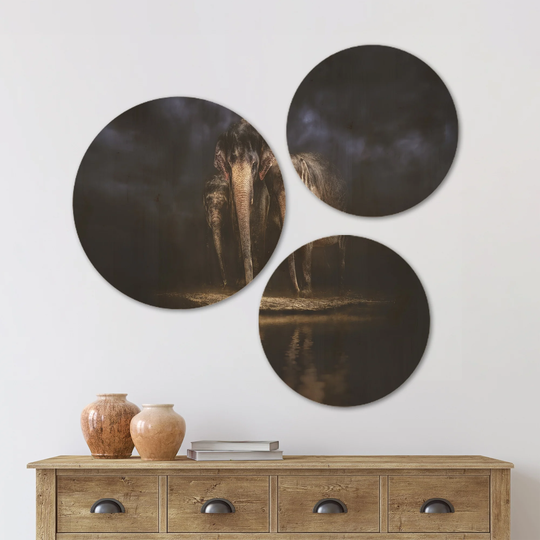 Designart 'Elephants Watering in the River' Animal Wood Wall Art Set of 3 Circles - Multi-Color