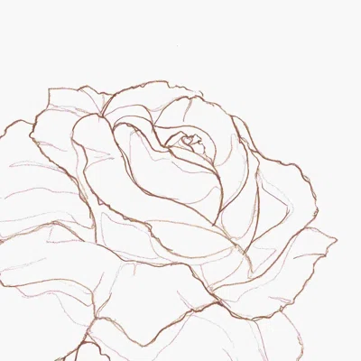 Pencil Rose Orange