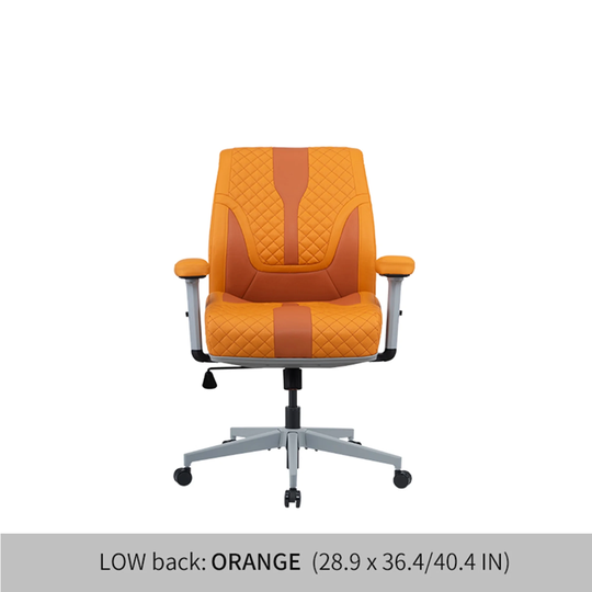 EYIW Set of 1 Low Back Wellness Office Chair Gaming Chair with Air Cushion for Home Office