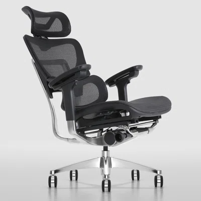 Odinlake Ergo Plus 743 Ergonomic Office Chair High Back Business Mesh Task Chair With Adjustable Armrests / Backrest / Headrest / Seat Depth