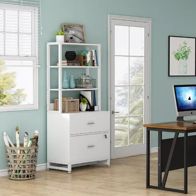 2 - Drawer Filing Storage Cabinet
