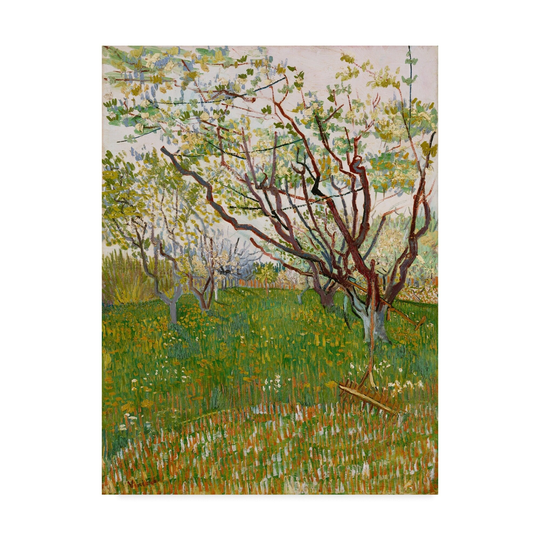 Vincent Van Gogh 'The Flowering Orchard' Canvas Art - Multi-color