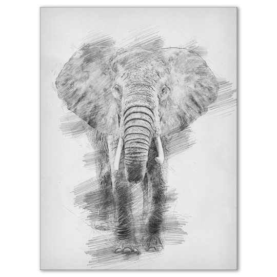 Designart 'Black and White Elephant Pencil ketch' Animals Print on Wrapped Canvas