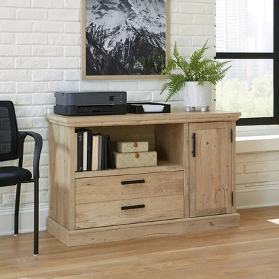Kaleigh 1 Drawer Lateral Filling Cabinet