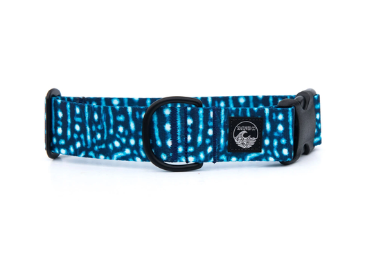 Whale Shark Dog Collar | Fishing Pet Nautical Stainless Steel Black Metal Girl Boy Summer Martingale