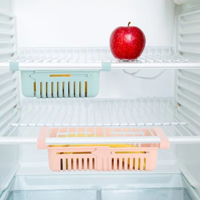 Amardev 2 Piece Refrigerator Drawer Storage Box Set