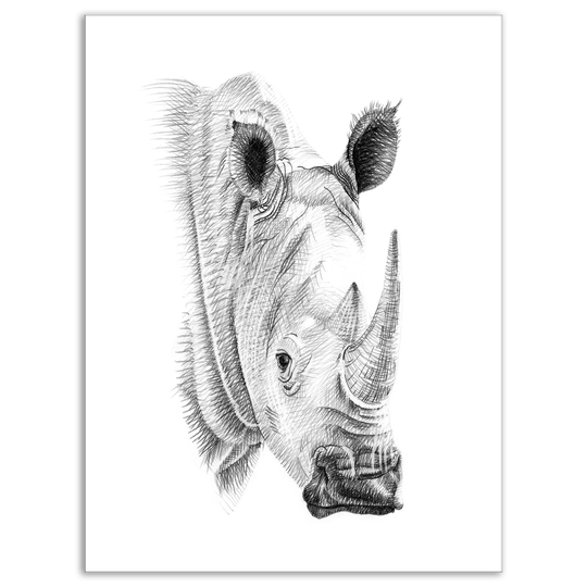Designart 'Pencil Rhino Sketch in Black and White' Animals Print on Wrapped Canvas - White